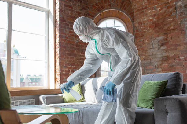 Mold Remediation for Vacation Homes